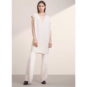 Aritzia Babaton Pedro Shift V Neck Dress
